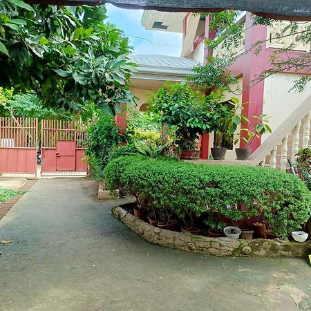 Peace Lily Studio Apartments Panglao Exterior foto