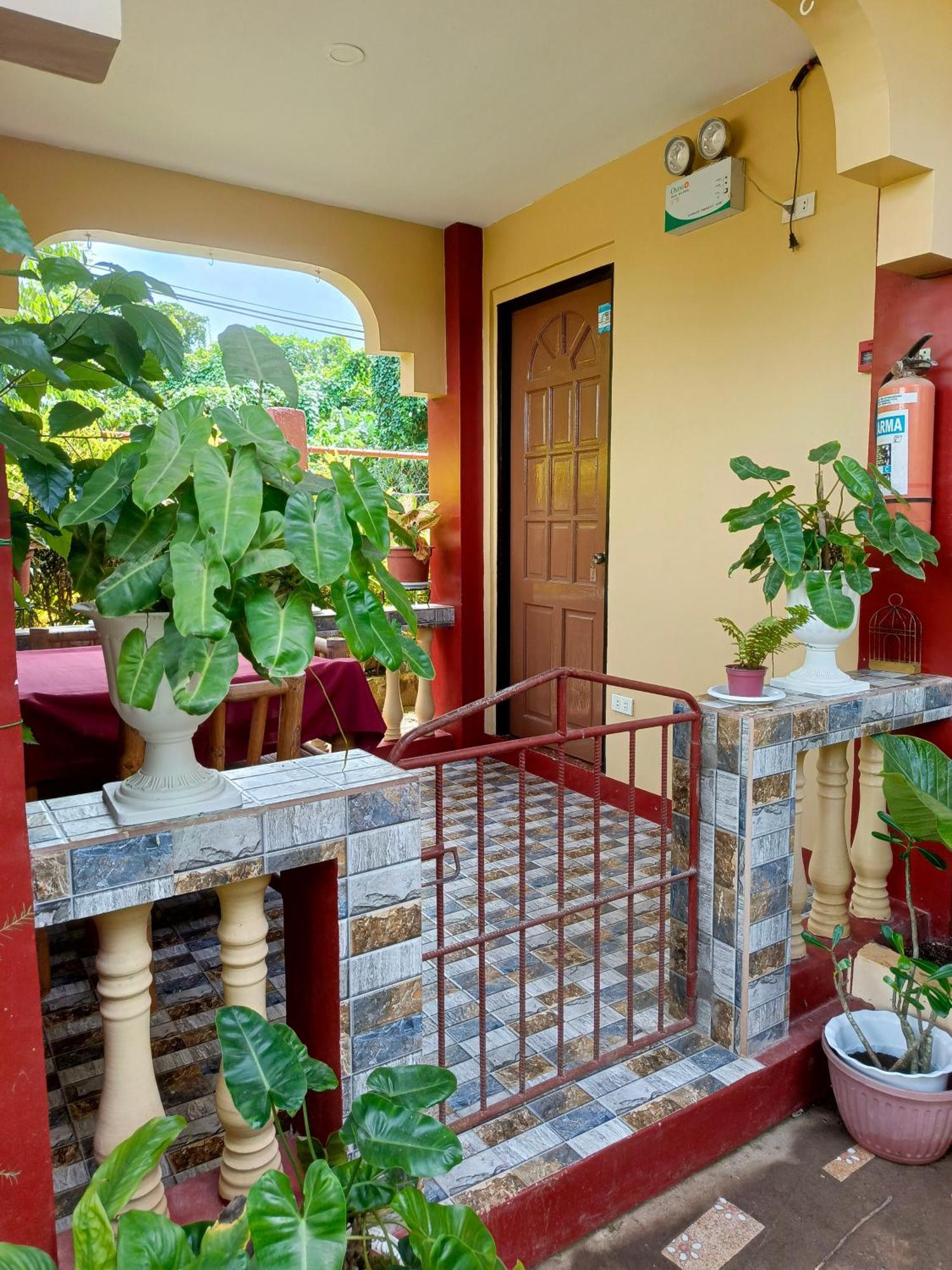 Peace Lily Studio Apartments Panglao Zimmer foto